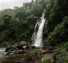 A waterfall coming off of a forested mountainside in Tanzania.